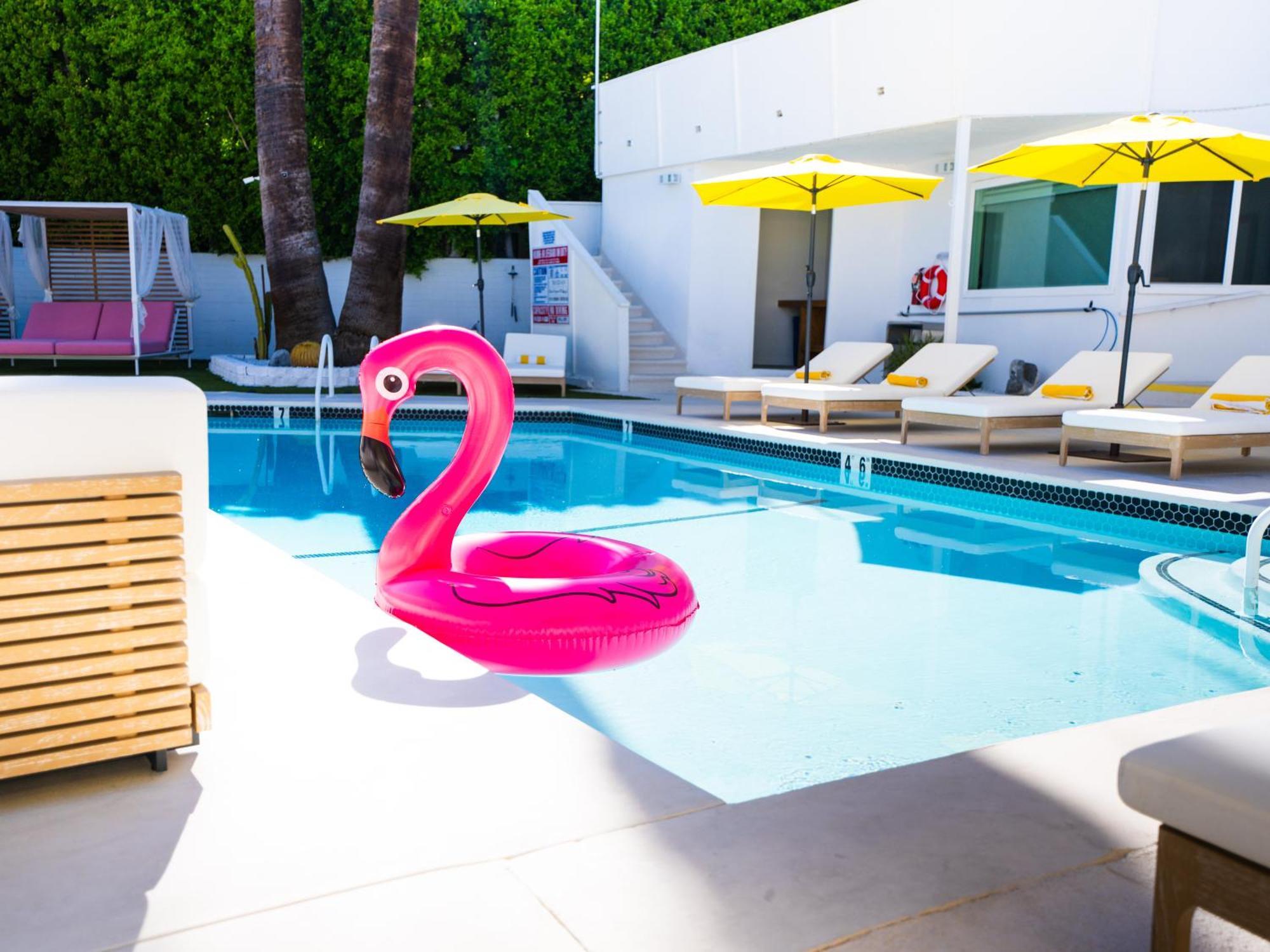 The Cactai Hotel Palm Springs Kültér fotó