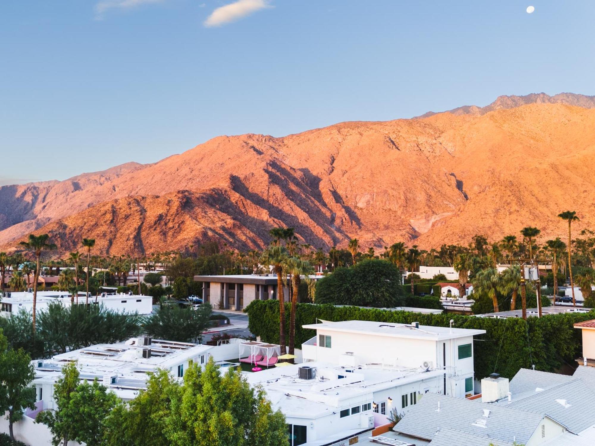 The Cactai Hotel Palm Springs Kültér fotó
